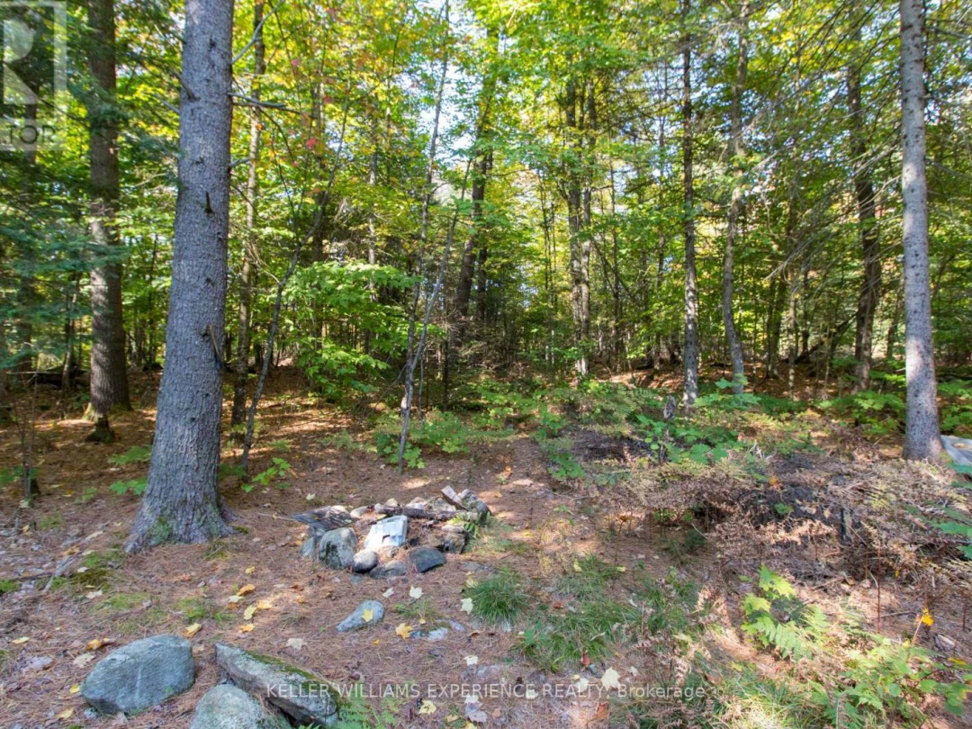 0 LYNX LAKE ROAD, 