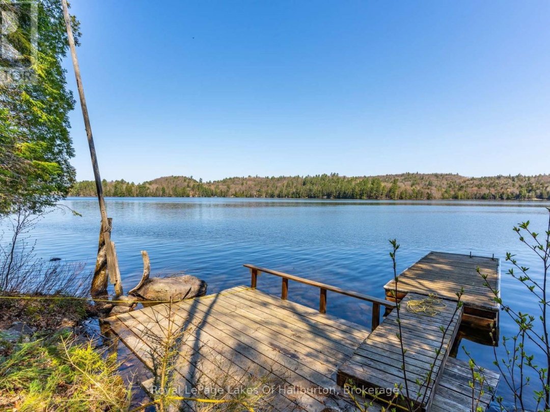 1096 Reg's Trail, Drag Lake