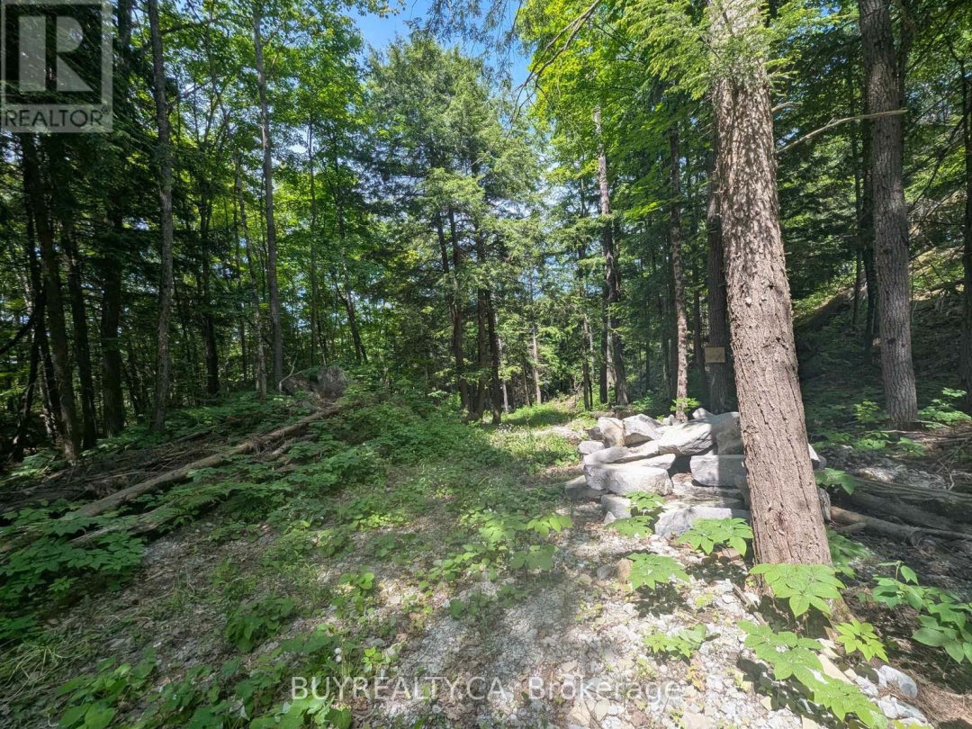 2318 SHERWOOD FOREST LANE, Severn River
