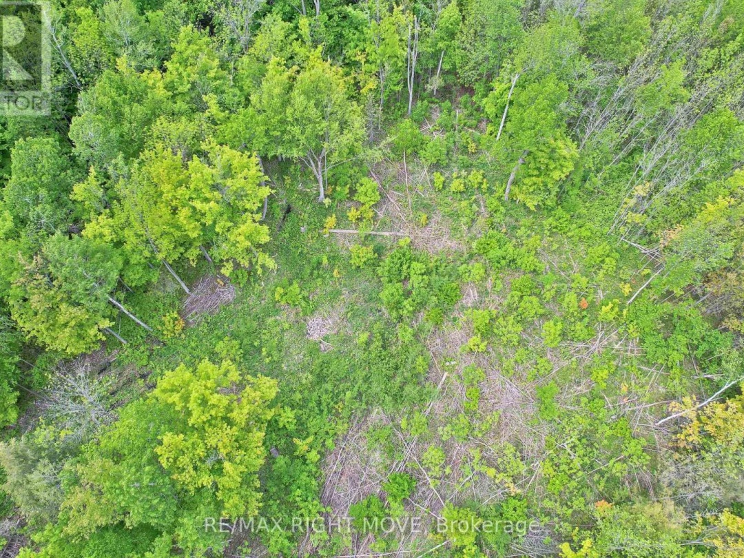 1382 WILSON POINT ROAD, 