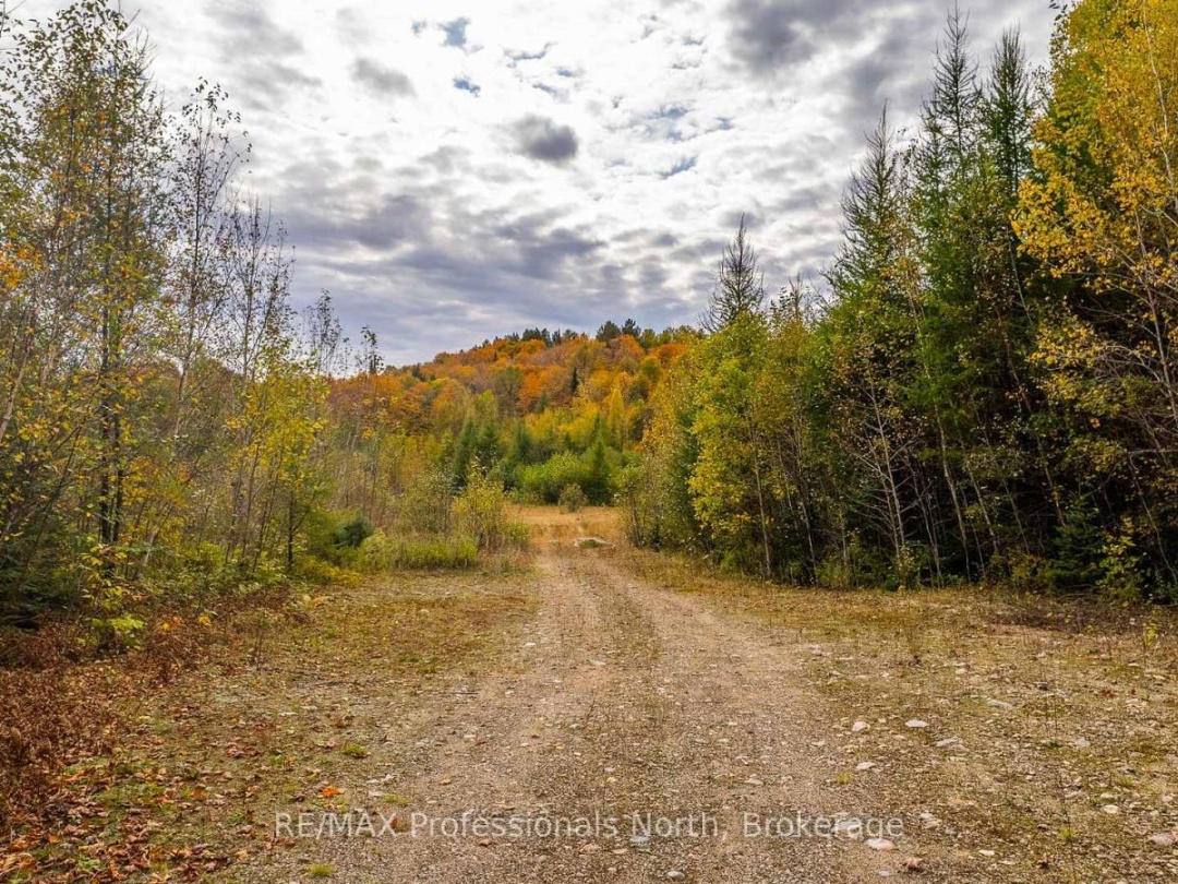 1600 BOBCAYGEON ROAD, 