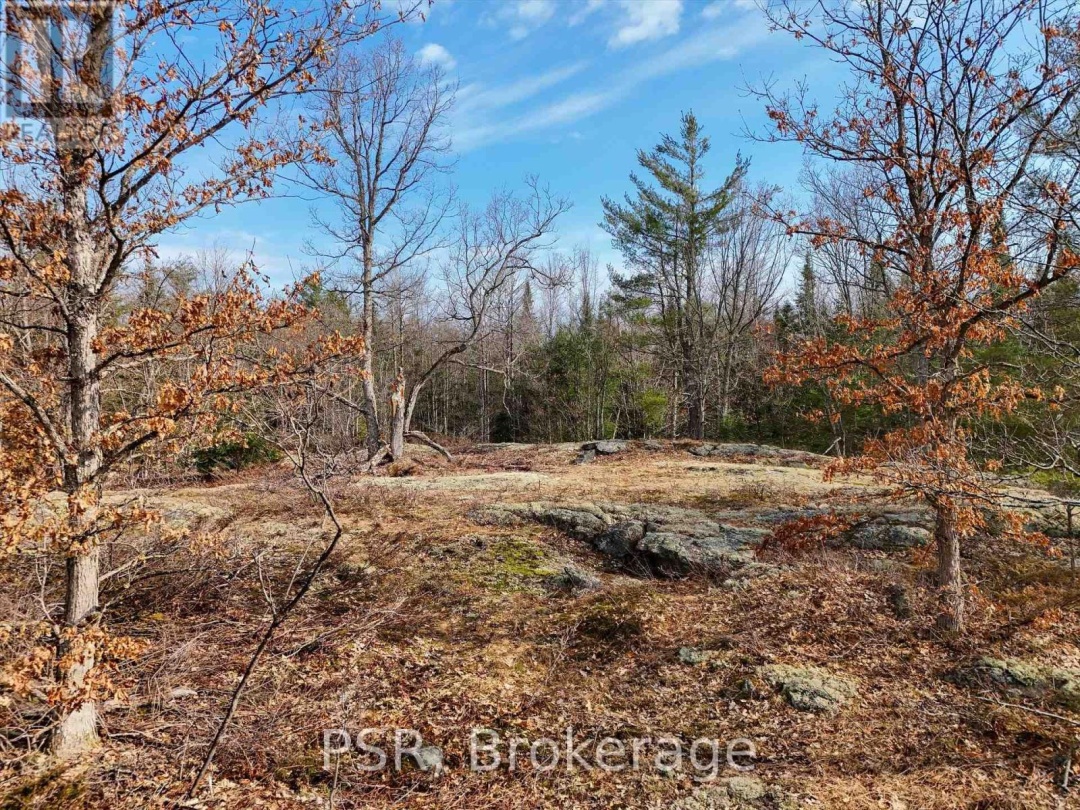 3410 Southwood Road, Gravenhurst
