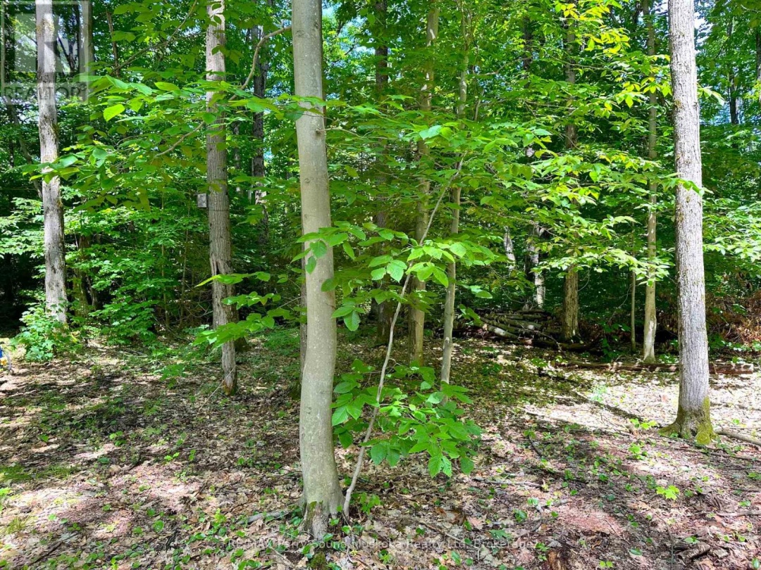 63 Sandy Plains Road, Seguin