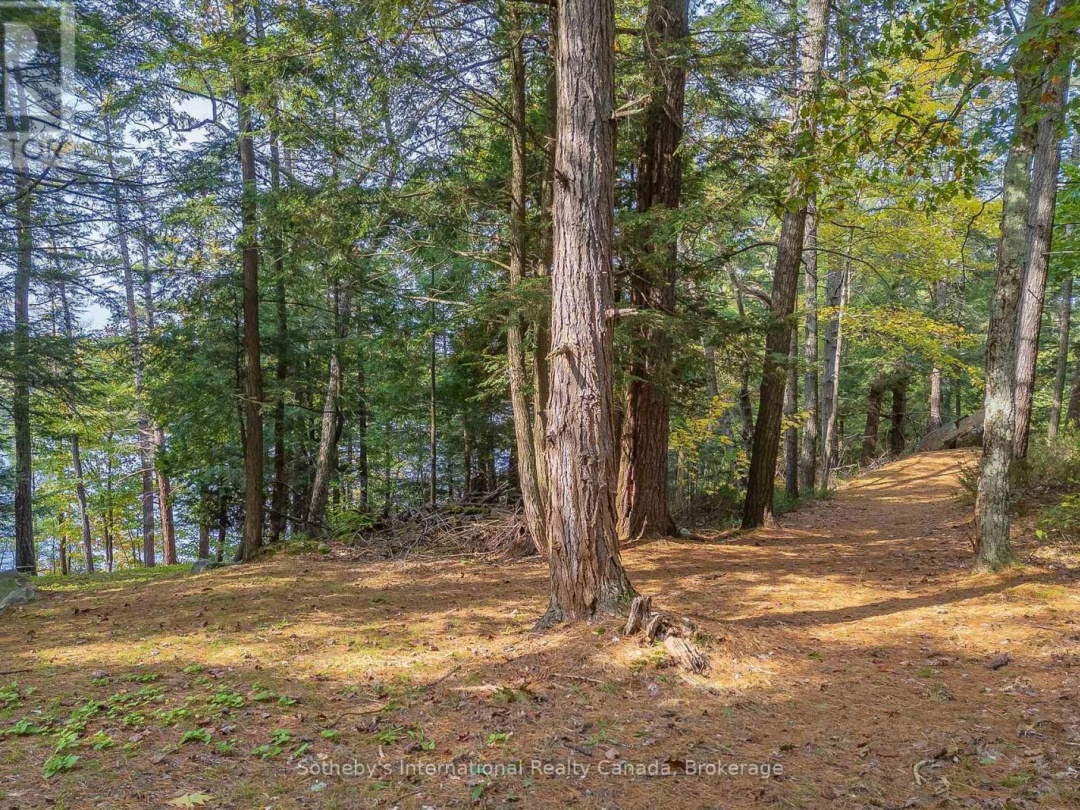 22418 GEORGIAN BAY SHORE, Longuissa Bay
