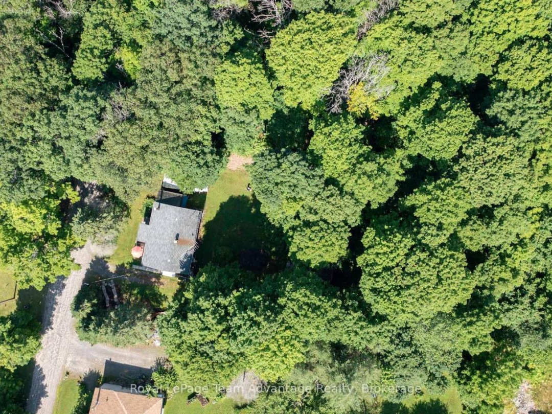 9 WOODS LANE, 