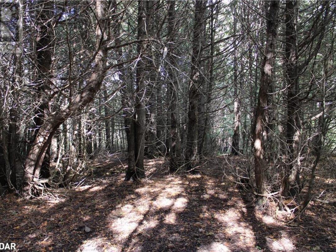 388 Woodland Drive, Oro-Medonte
