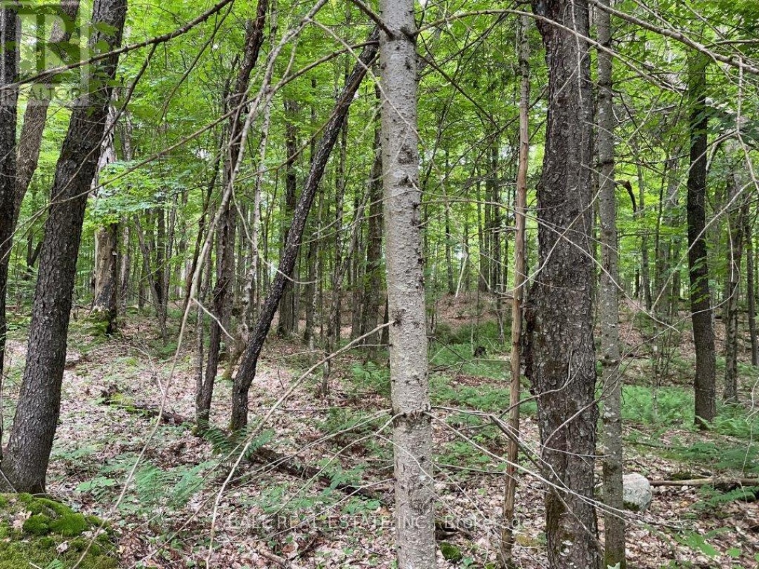 1350 HALIBURTON LAKE RD,