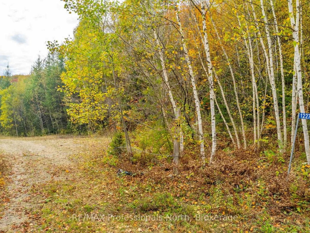 1600 BOBCAYGEON ROAD, 