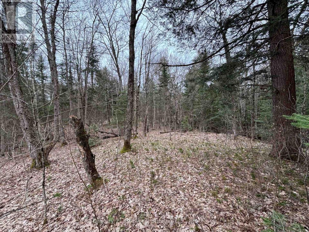 LOT 1 LOCH ERNE ROAD, McDougall