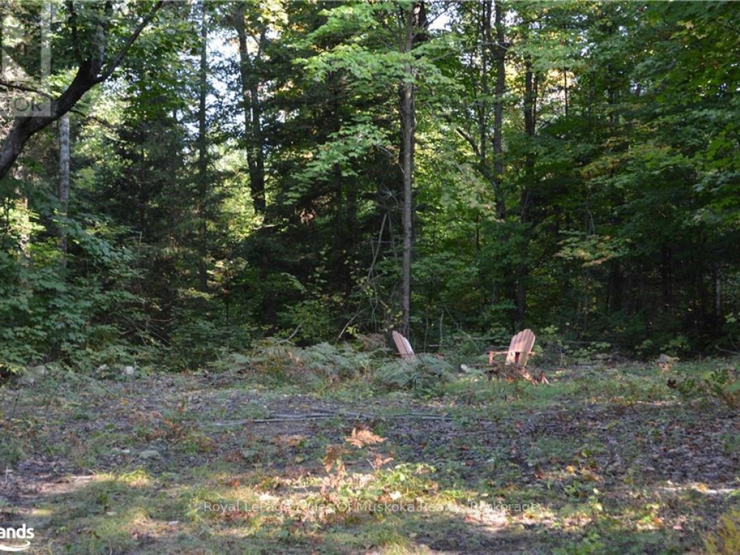 LOT 20 CONCESSION 5 ROAD, 