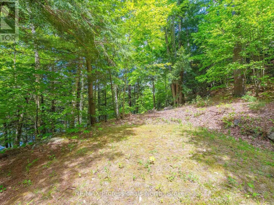 1023 Maiden Trail, Bob Lake