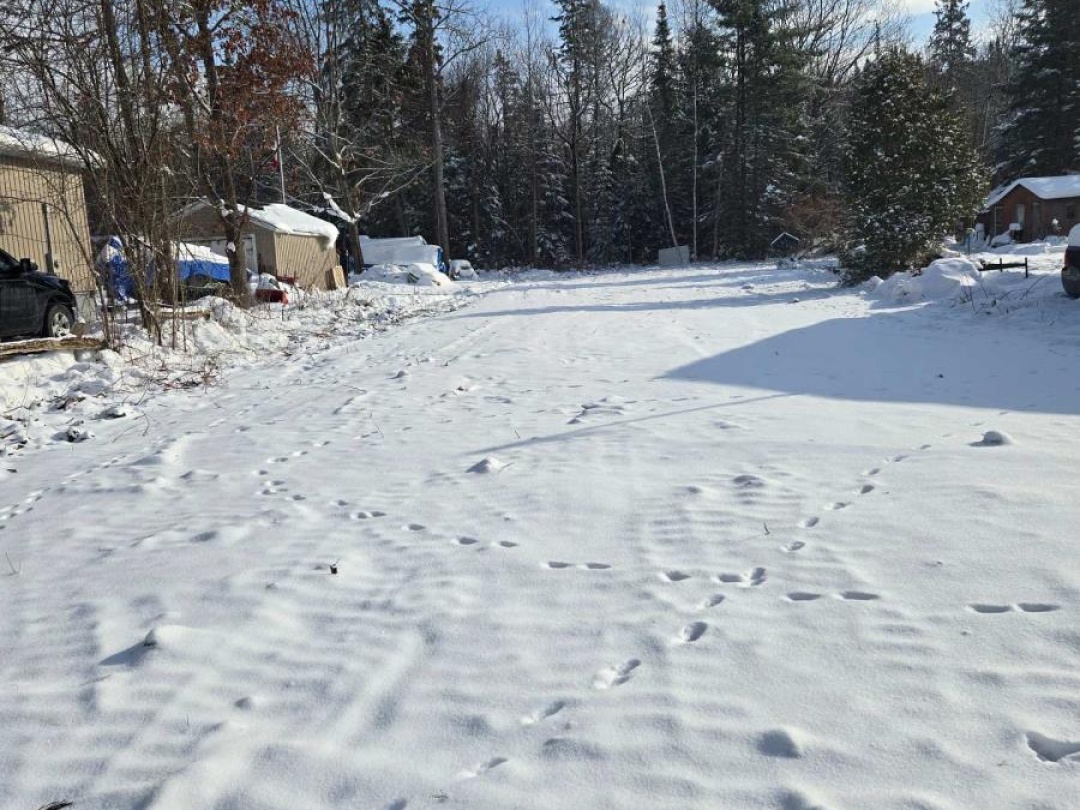 77 Antiquary Beach Road N, Canal Lake