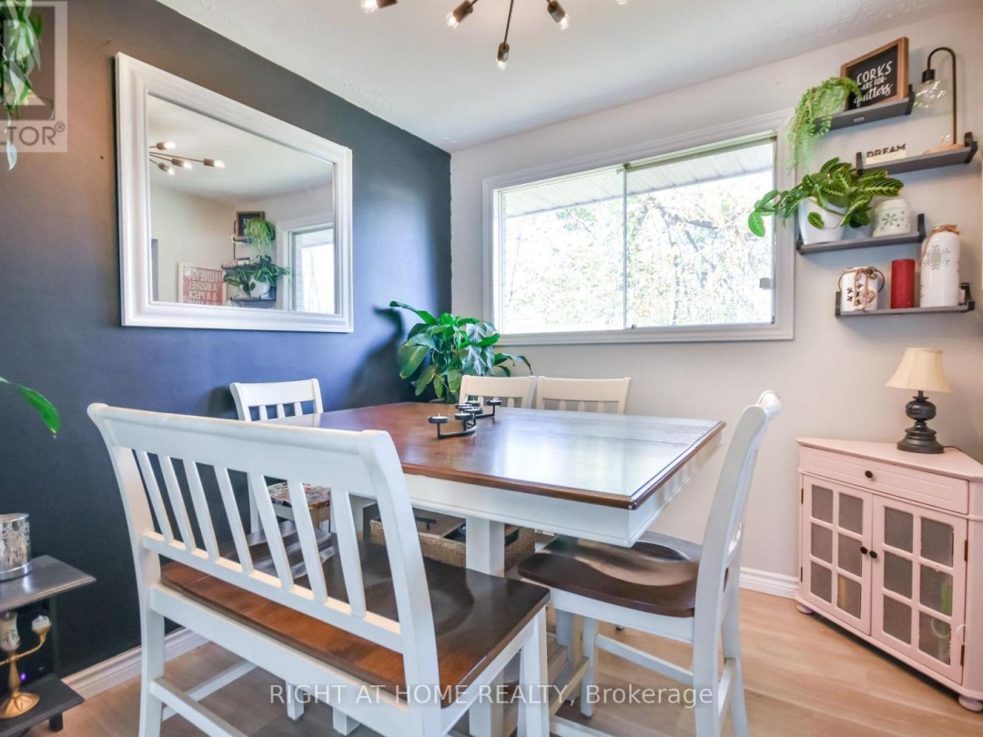 229 MOUNTAIN AVENUE, 