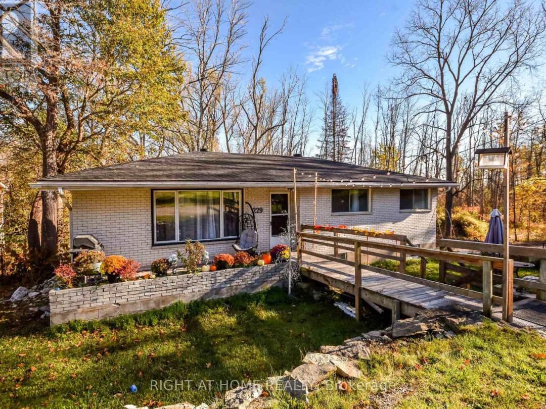 229 MOUNTAIN AVENUE, 