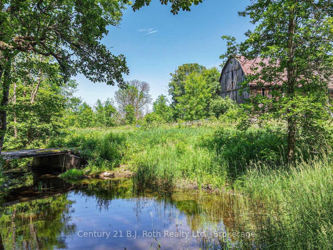 1151 TOWN LINE, 