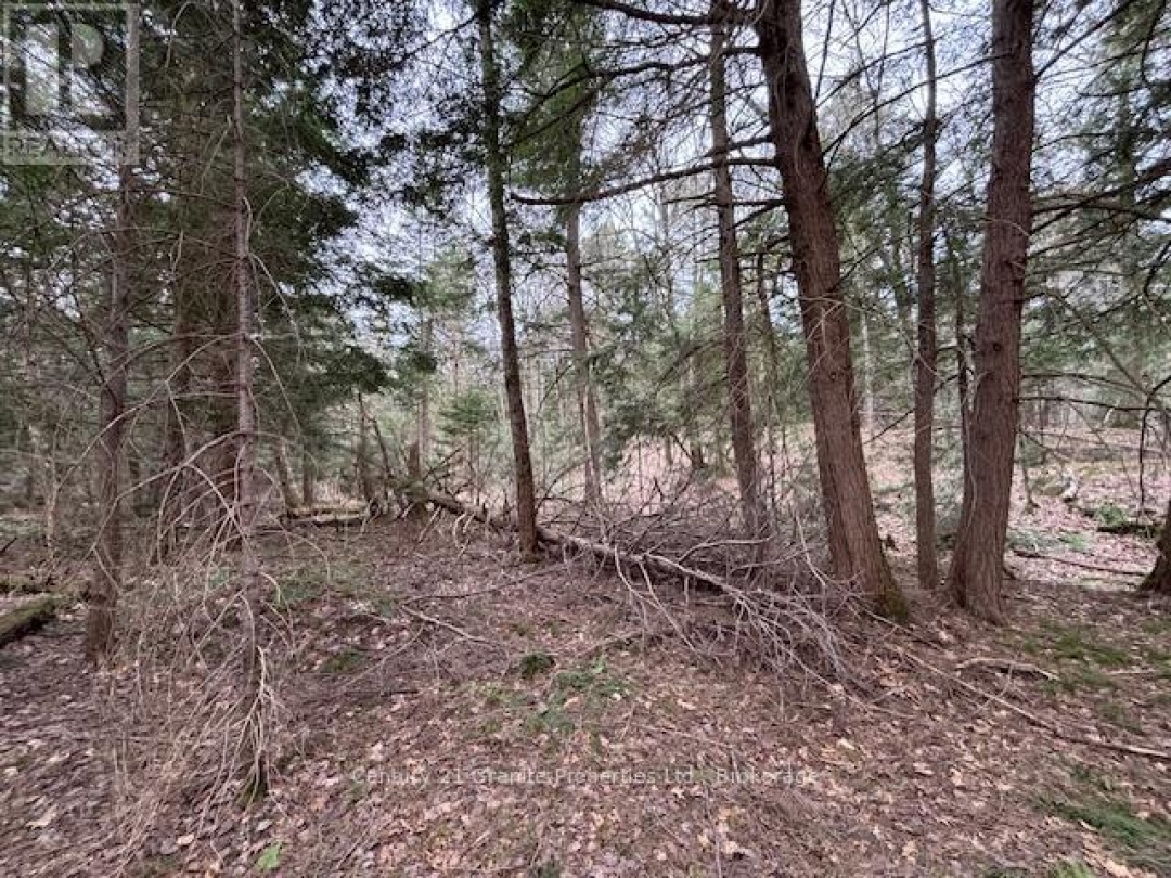 Lot 2 Loch Erne Road, McDougall
