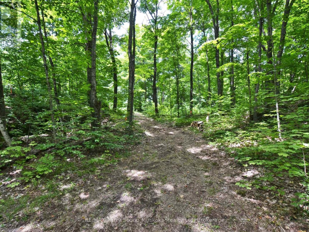 LOT 1 SHIELDS DRIVE, 
