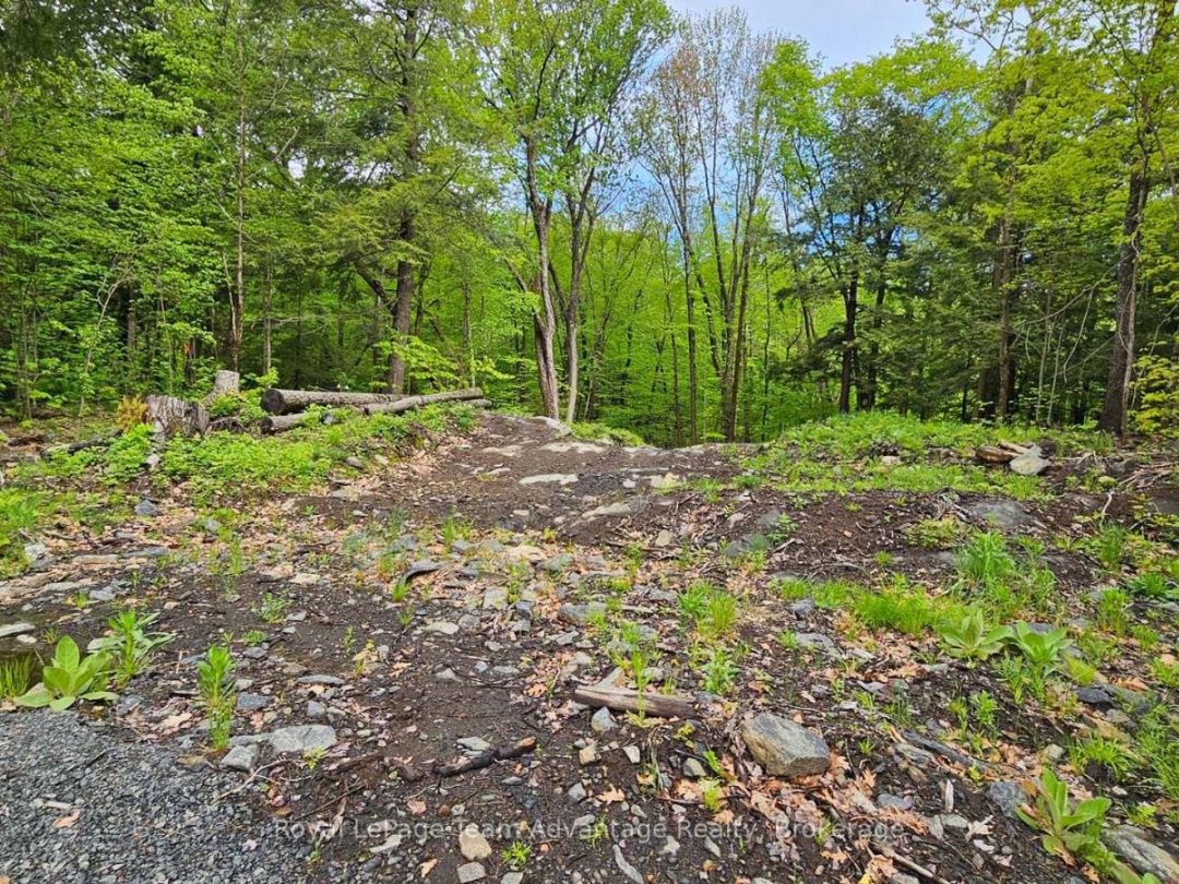 31 Pinewood Road, McDougall