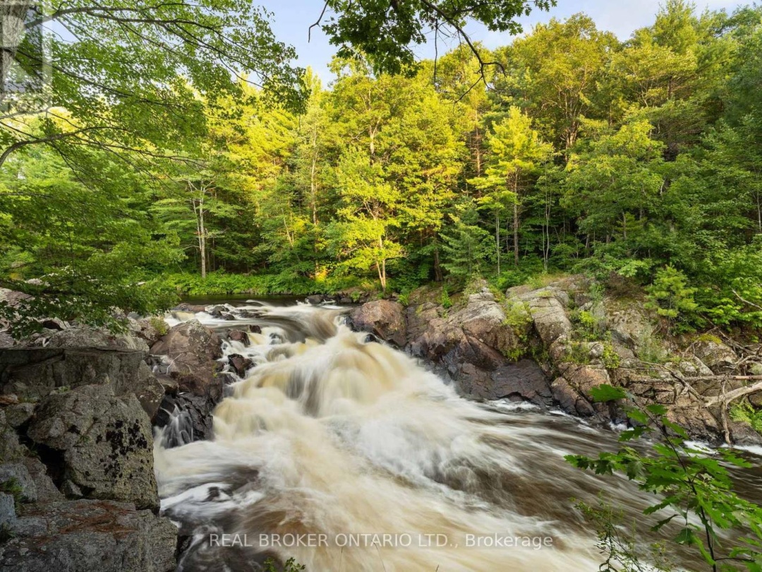 1401 COOPERS FALLS ROAD, Black River