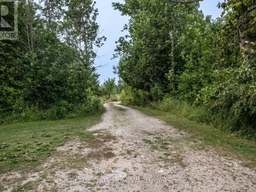 LOT 254 MCGUIRE BEACH ROAD, 