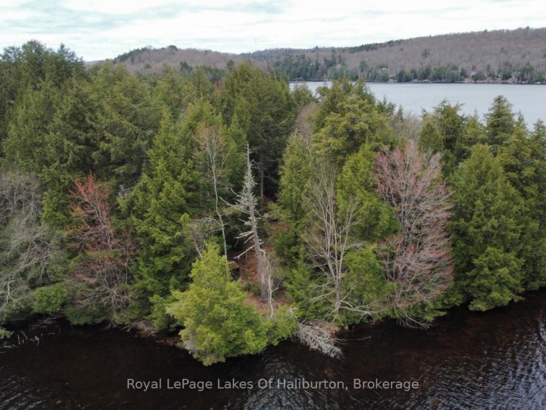 1017 Palace Drive, Little Kennisis Lake