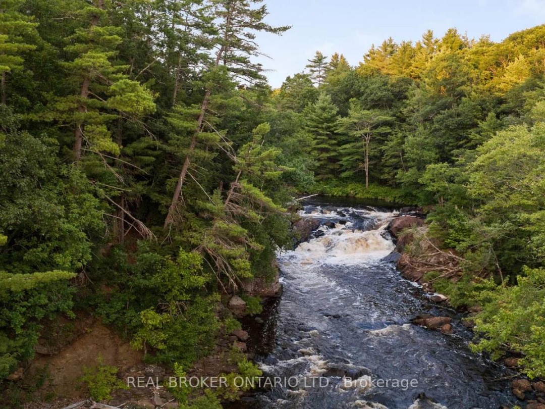1401 Coopers Falls Road, Black Lake