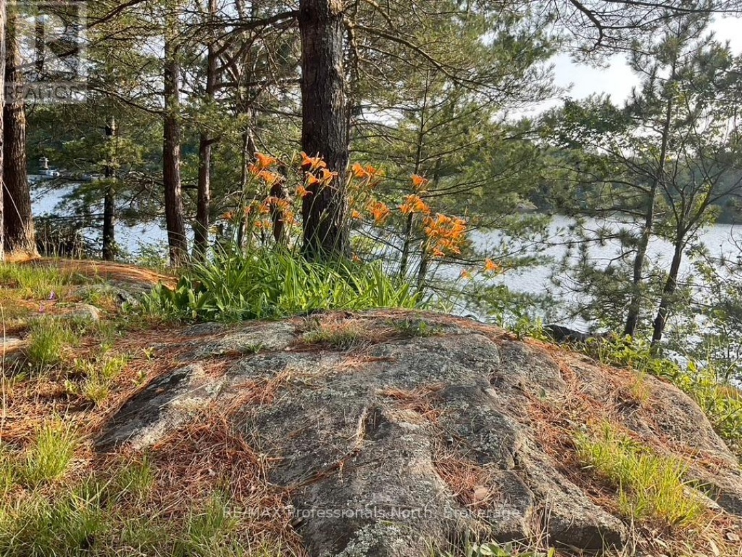 11437 DEVILS LAKE WAO, 
