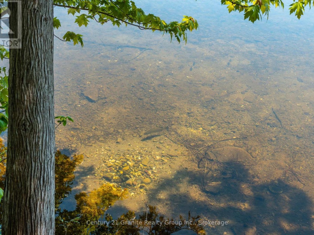 359 Avery Point Road, Dalrymple Lake