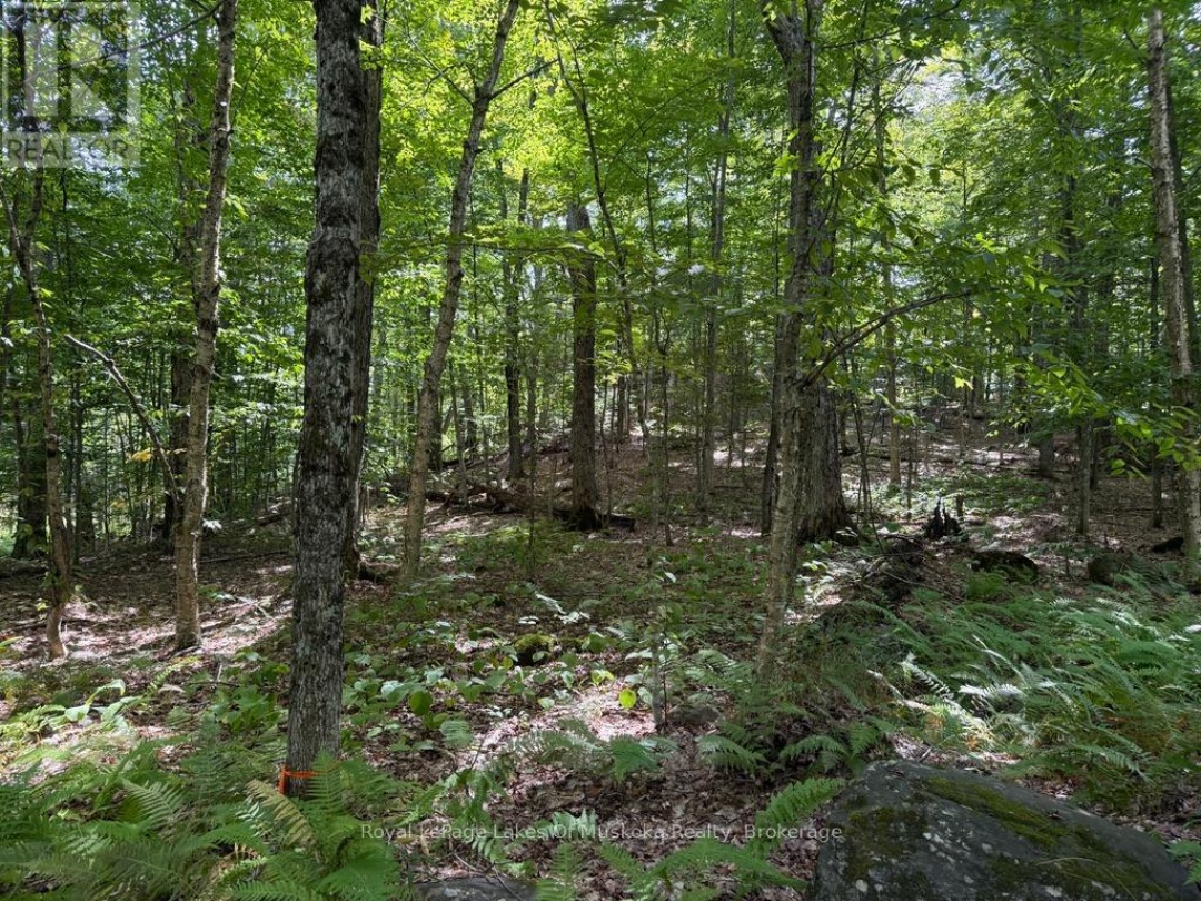 LOT 85 BRENNAN CIRCLE, 
