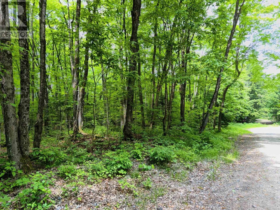 0 LOON LAKE ROAD, 