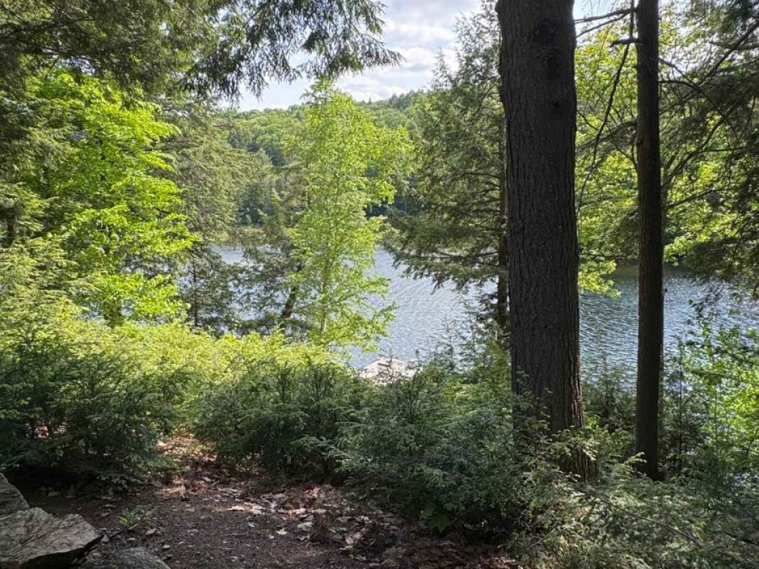 10469 LITTLE HAWK LAKE, 