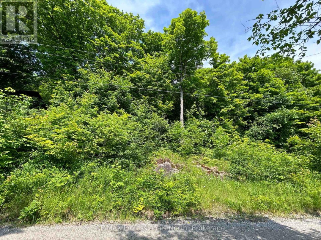 0 Brady Lake Road, Brady Lake