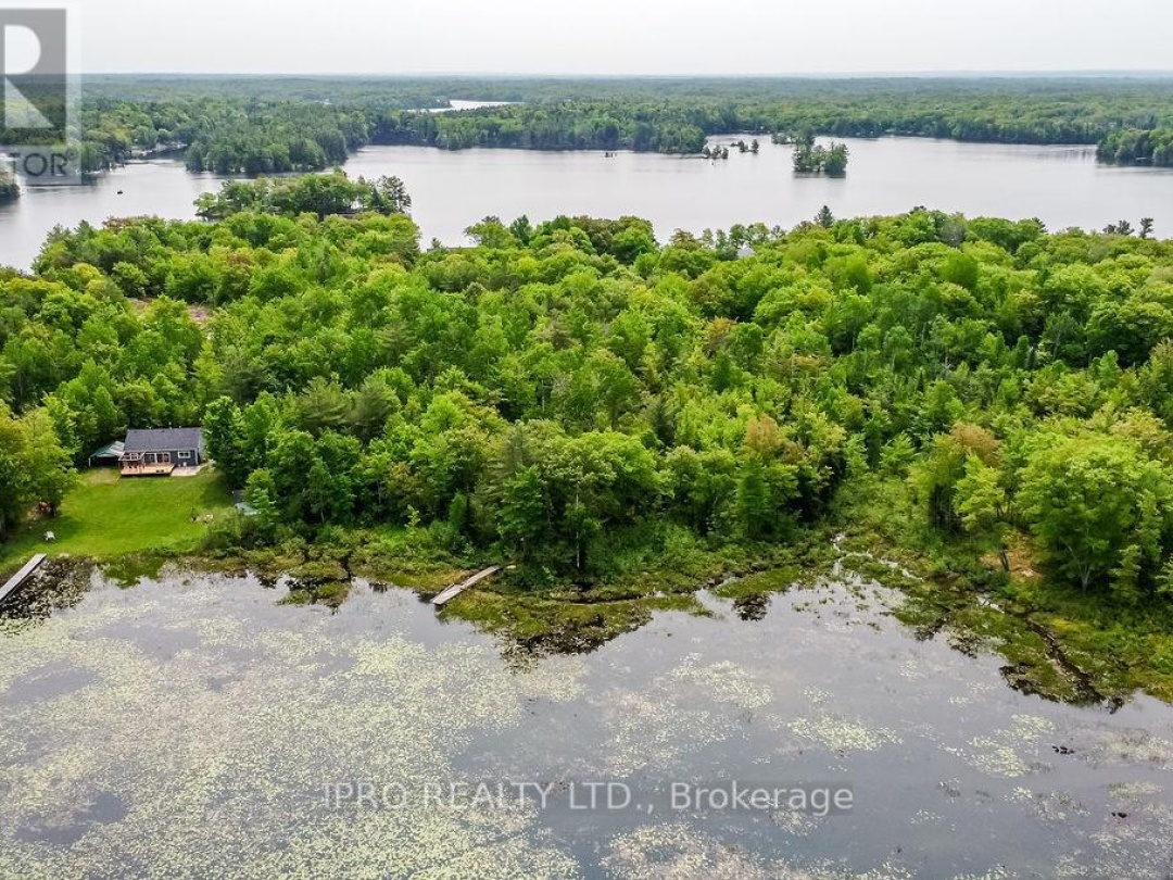 382 Corrievale Road, Little Lake