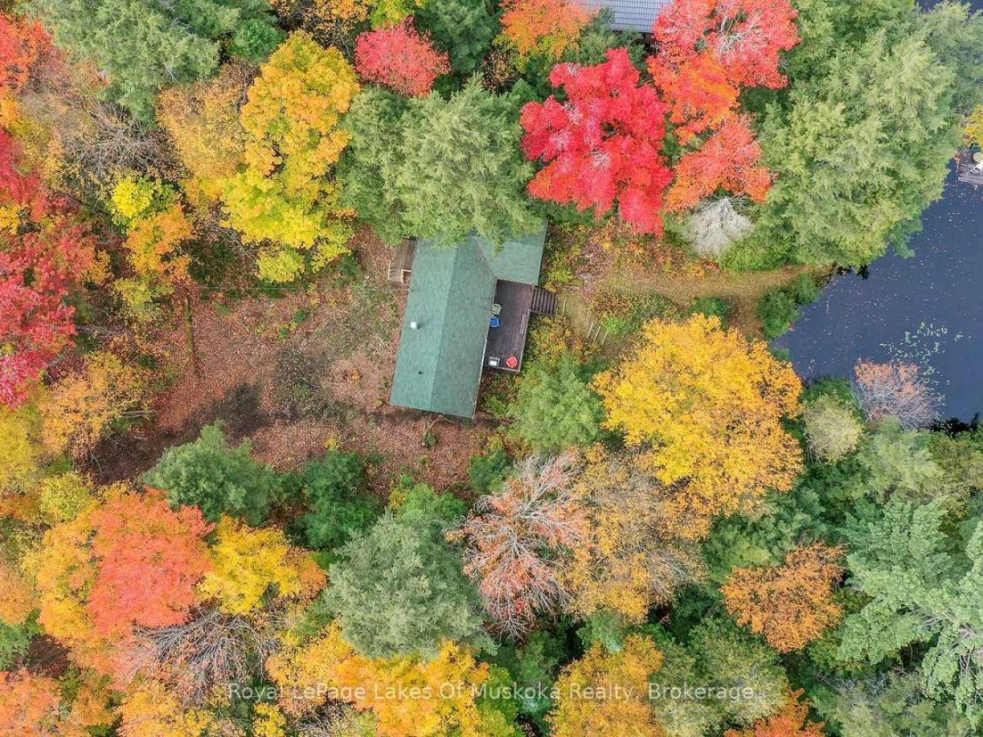 1086 SOUTH TOAD LAKE ROAD, Toad Lake