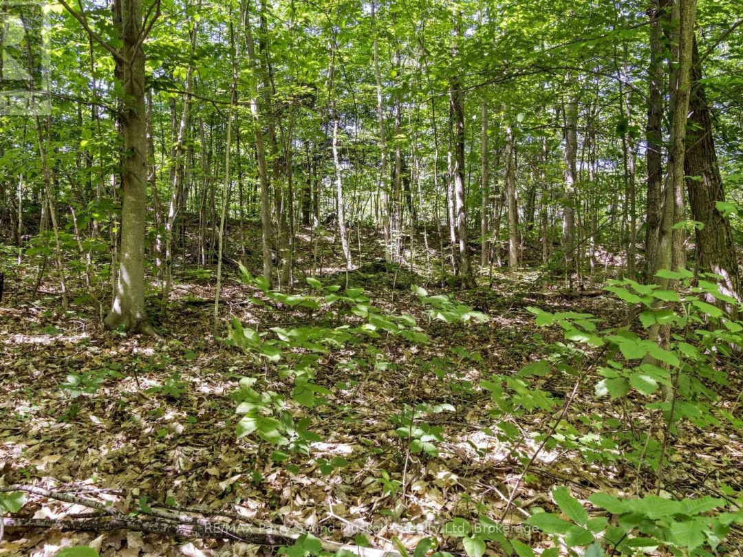 34A BELL LAKE ROAD, 
