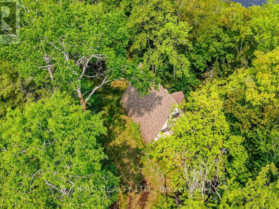 382 Corrievale Road, Little Lake
