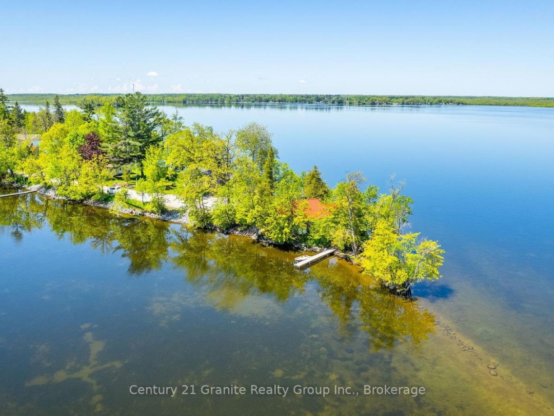 359 Avery Point Road, Dalrymple Lake