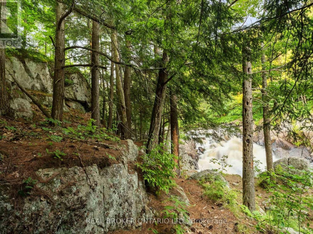 1401 Coopers Falls Road, Black Lake