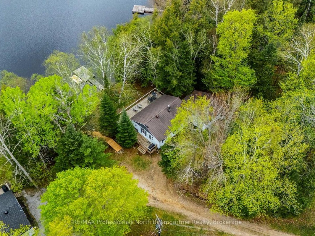 1004 Wilson Heights Trail, Haliburton Lake