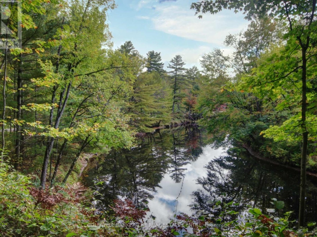 54 BLACK RIVER ROAD, 