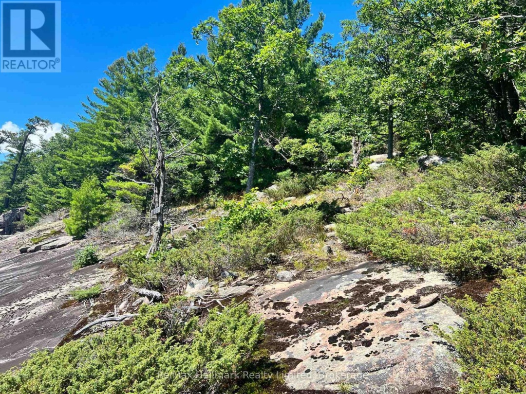 1091 Strawberry Lane, Lake Muskoka