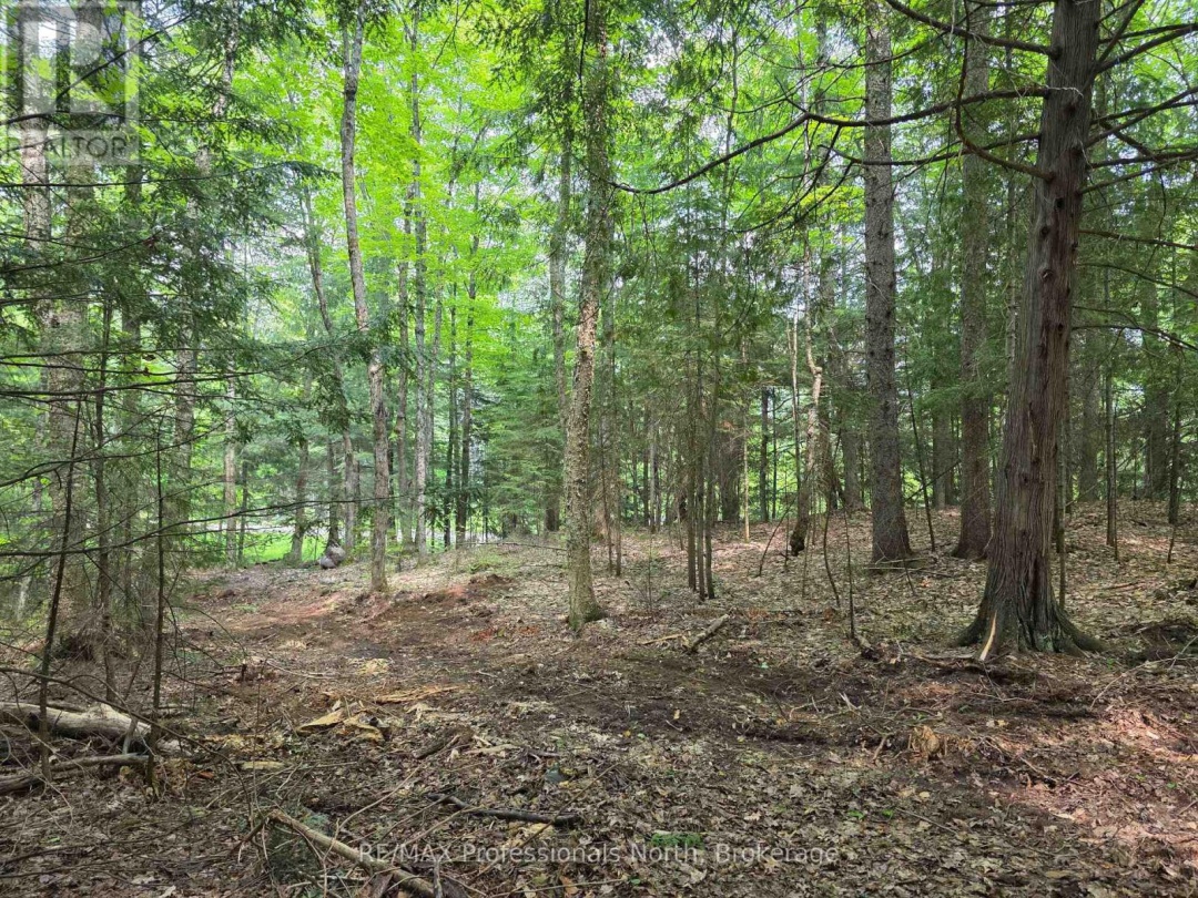 0 25Th Line Road, Algonquin Highlands (Stanhope)