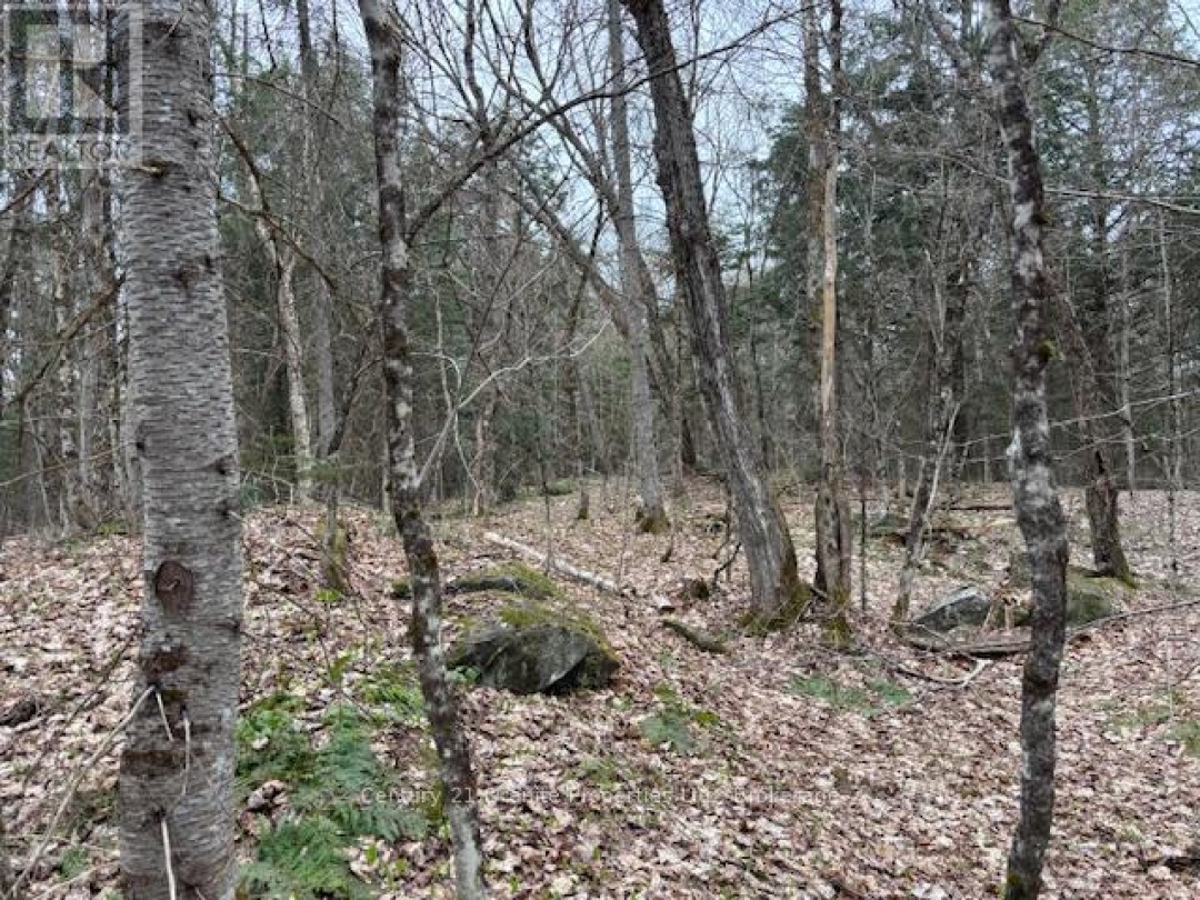 Lot 2 Loch Erne Road, McDougall