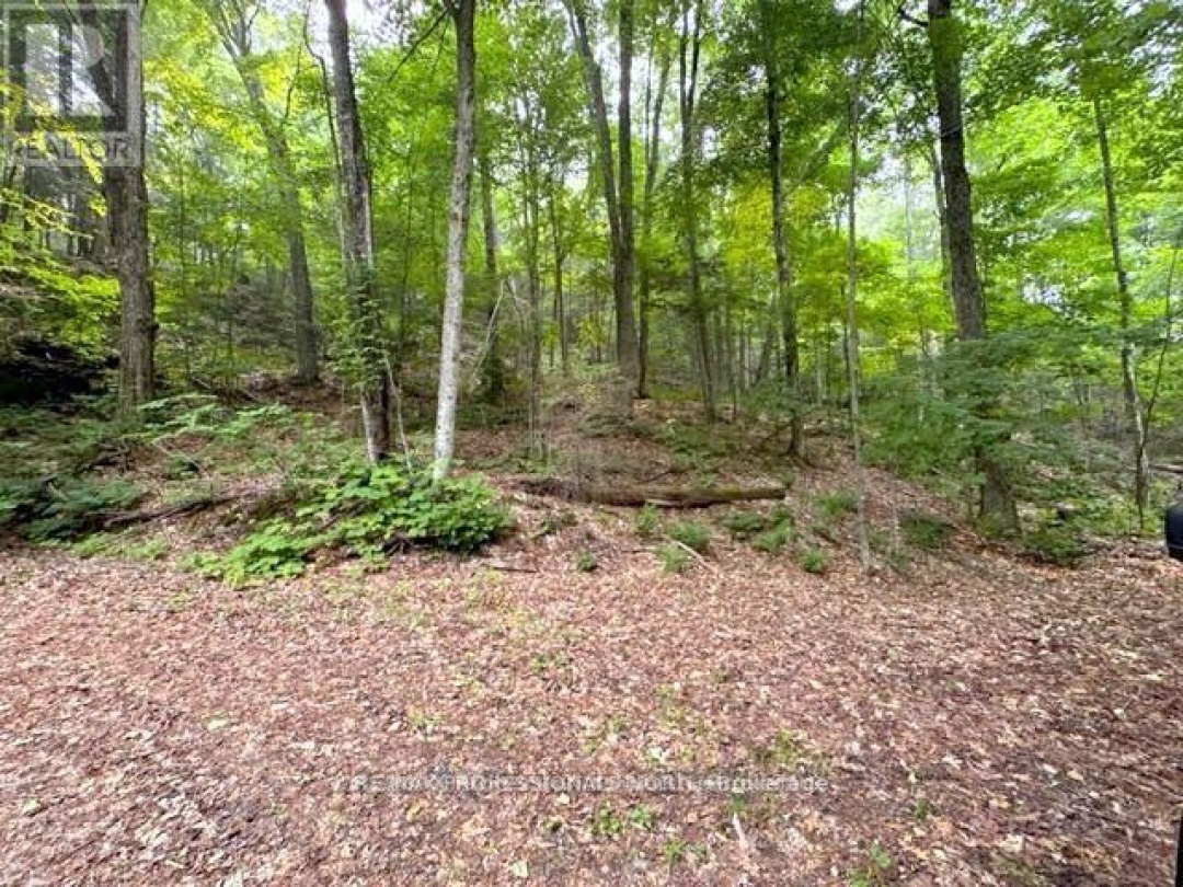 1167 LEON'S LANE, 