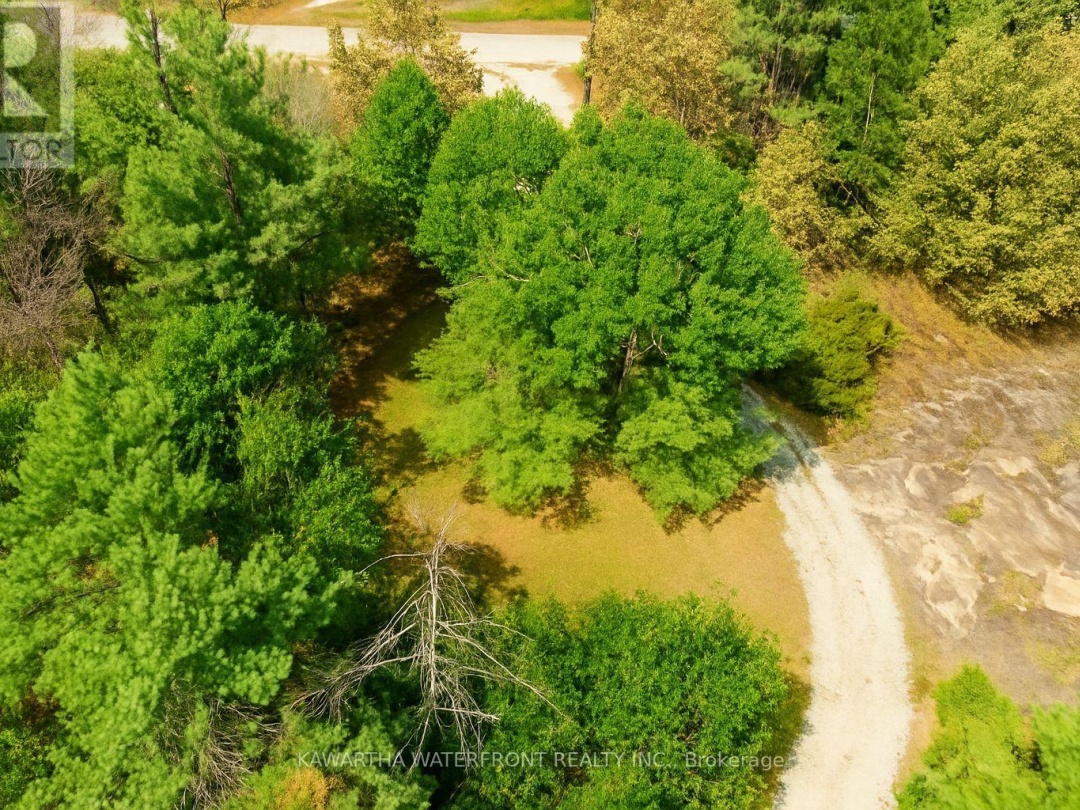 388 NORTH SHORE RD ROAD, 