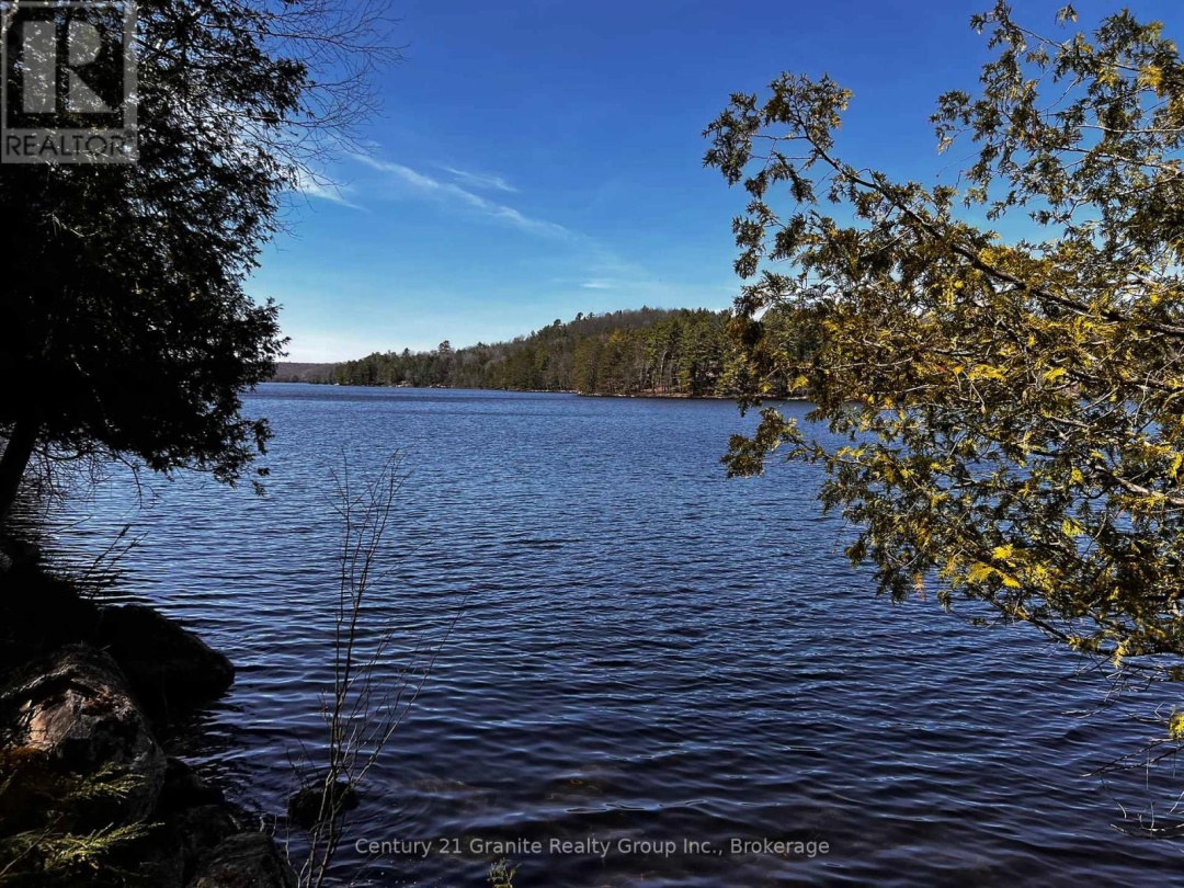 1208 Reg's Trail, Drag Lake