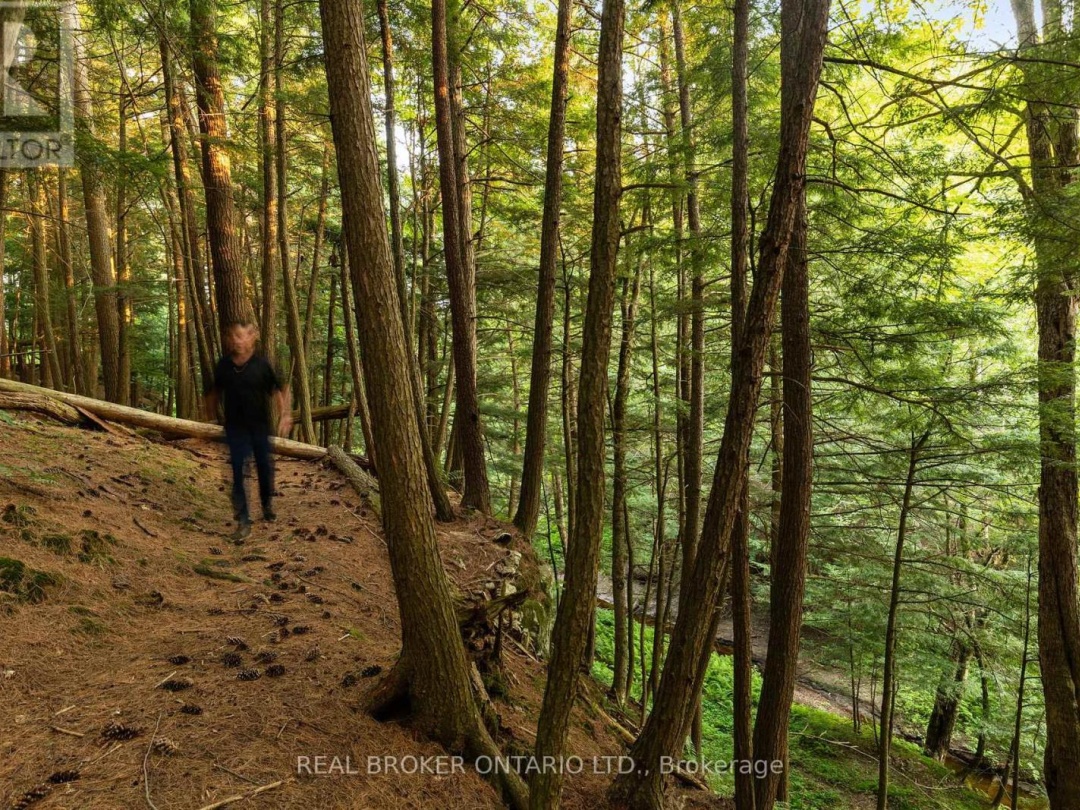 1401 COOPERS FALLS ROAD, 