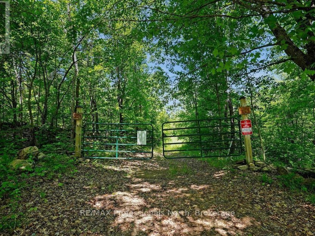 1134 WALKERS LINE ROAD, 