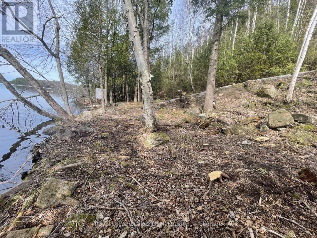 0 Starlight Road, Gull Lake