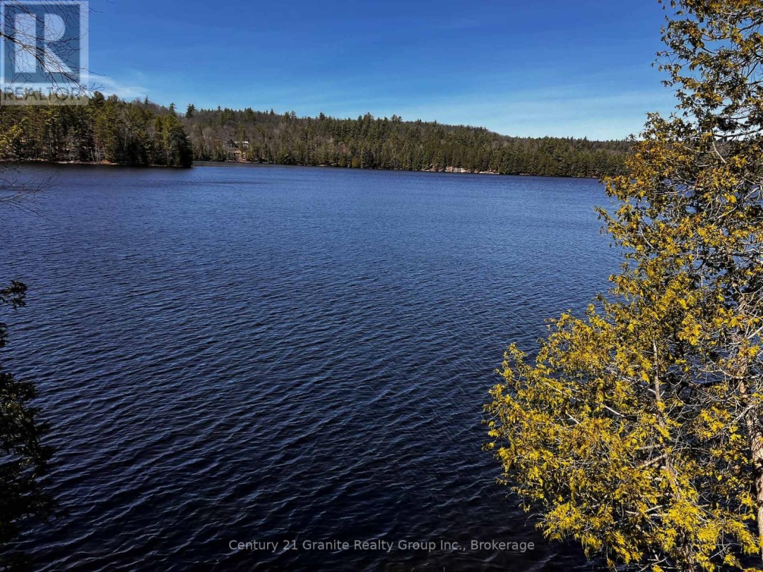 1208 Reg's Trail, Drag Lake